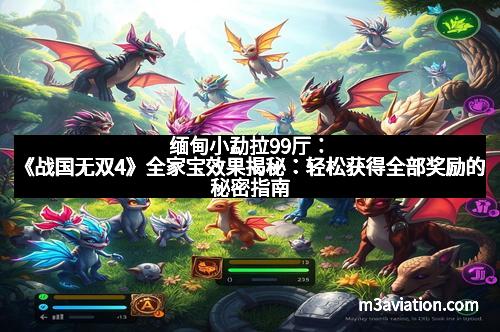 缅甸小勐拉99厅：《战国无双4》全家宝效果揭秘：轻松获得全部奖励的秘密指南